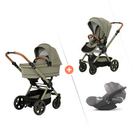 variant:56804013408643