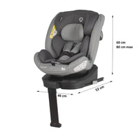 variant:53290404381059