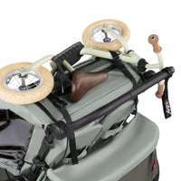 variant:58033727209859