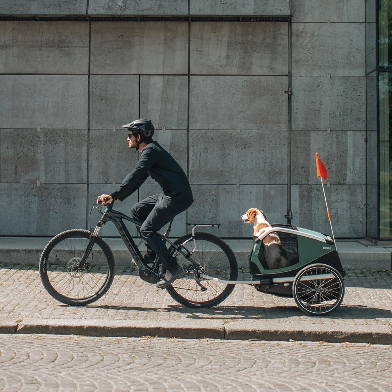 Thule Anhänger DOG BEXEY (M)