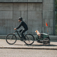Thule Anhänger DOG BEXEY (L)