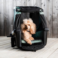 Thule Anhänger DOG BEXEY (M)
