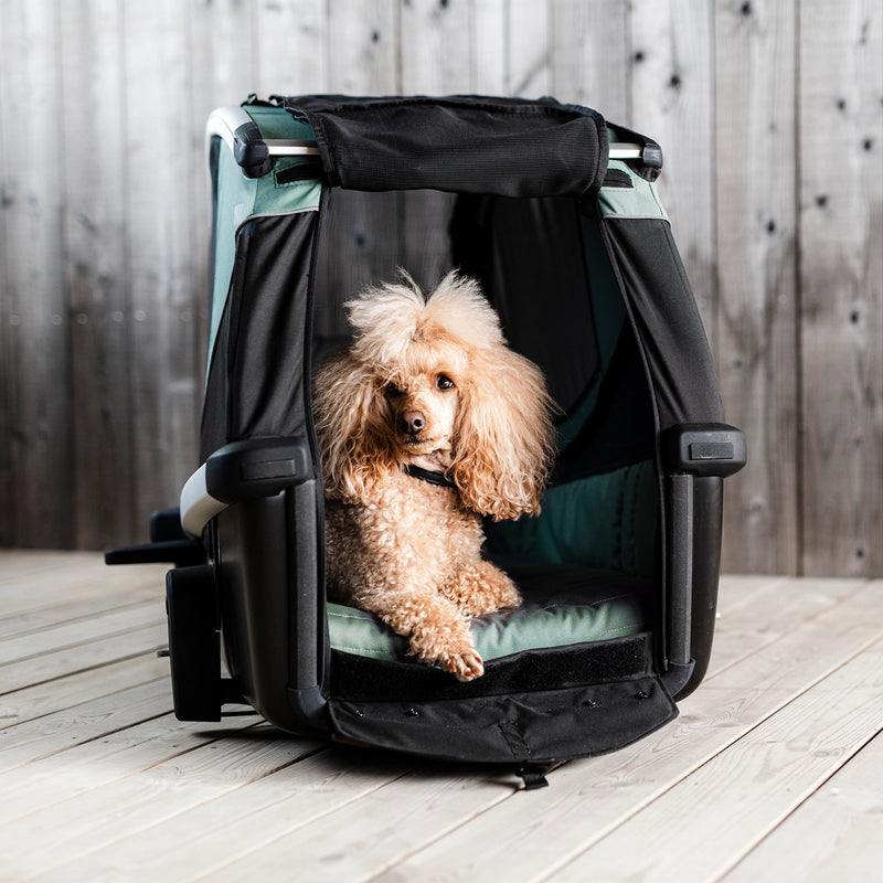 Thule Anhänger DOG BEXEY (M)
