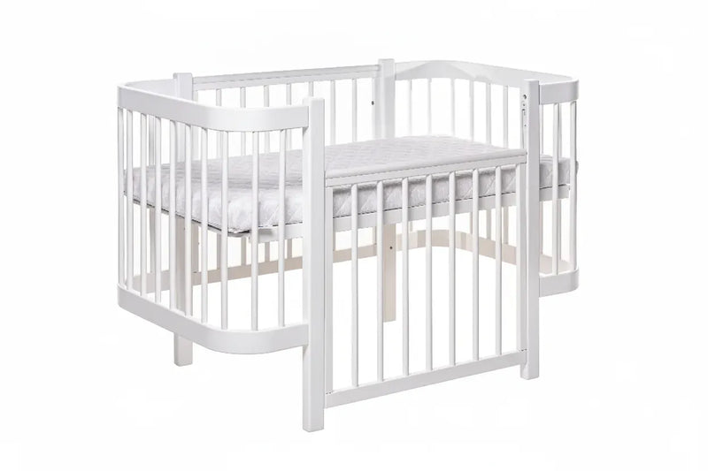 variant:62007854301571