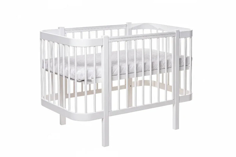 variant:62007854301571