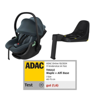 Thule Charm 4in1 Kinderwagen Set