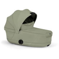 Sage Green