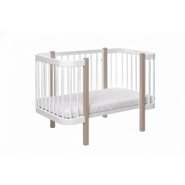KOTTO ELIN Kinderbett Buche 120x60 cm mit Dreemsy Matratze
