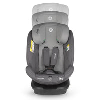 variant:56220004647299