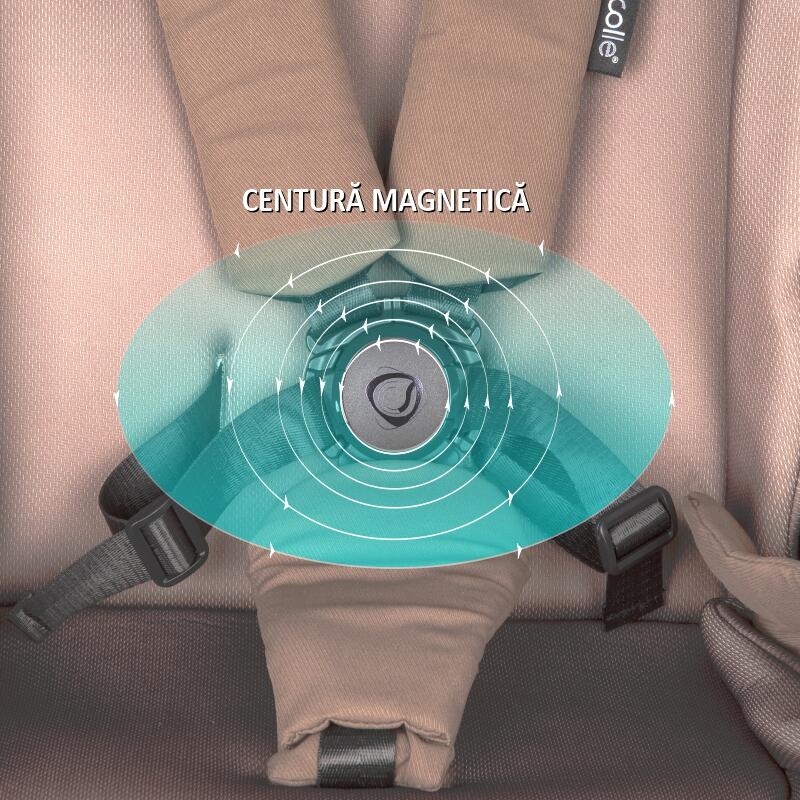 variant:56244667318659