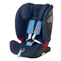 variant:56243345195395
