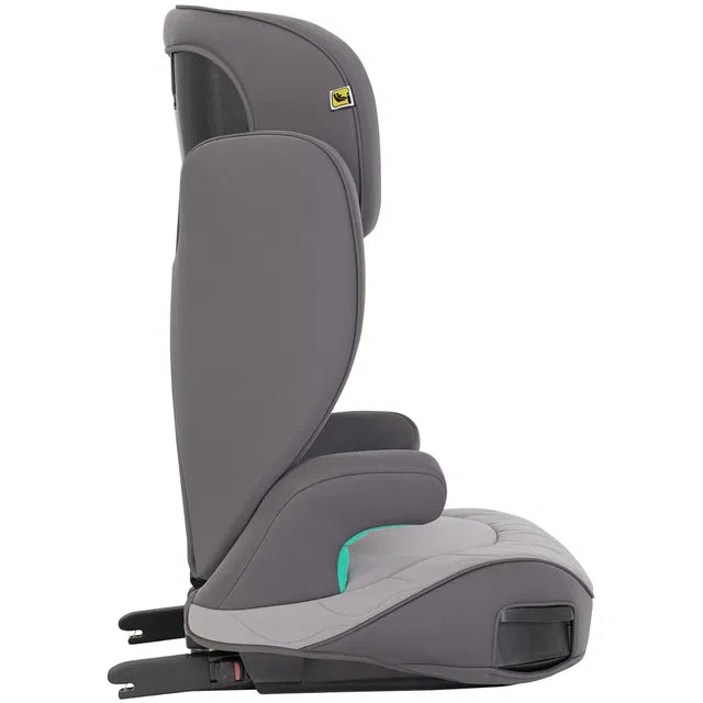 variant:56044840812931
