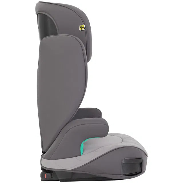 variant:56044840812931