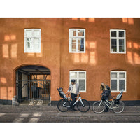 THULE Yepp 2 Maxi Gepäckträgermontage