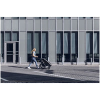 Thule Chariot Lite Double
