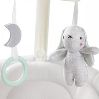 Graco Eluma Sway Beruhigende Babyschaukel (Rori)