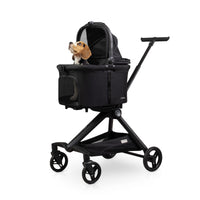 Carino Zoom Desert Haustier-Kinderwagen